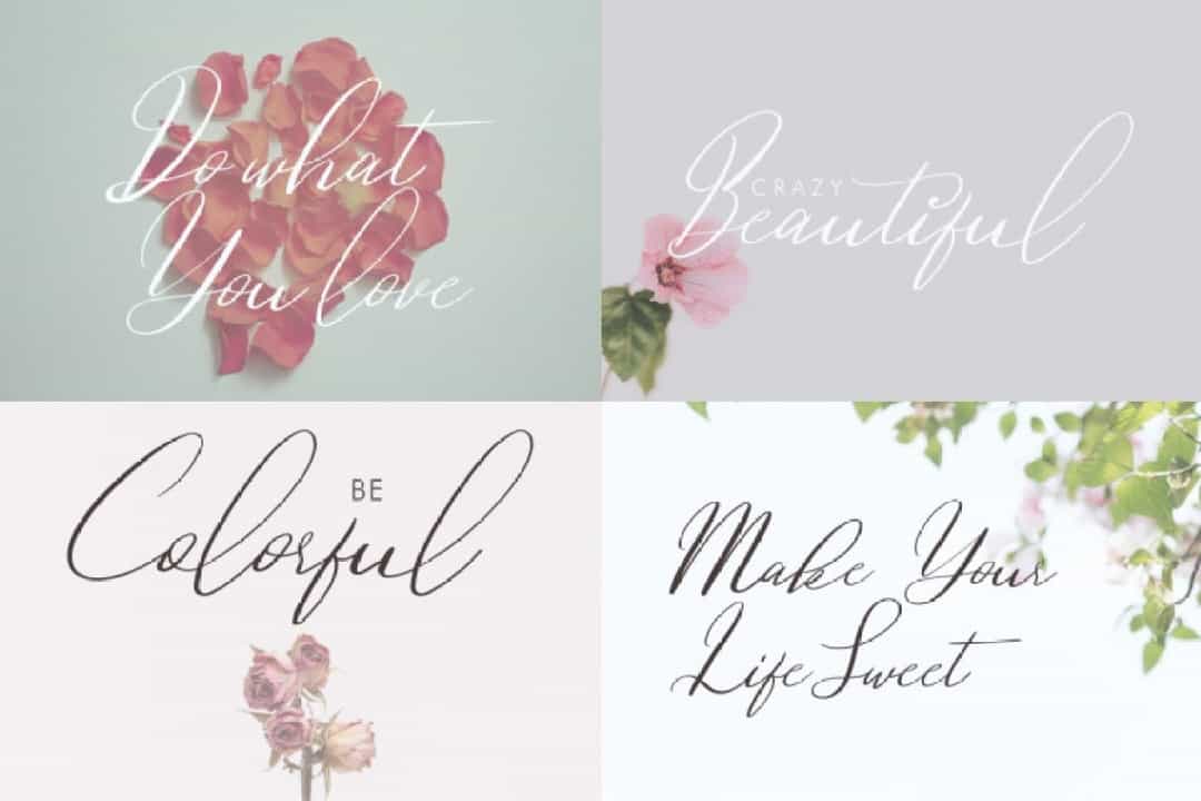 Dovetail Calligraphy Script Font Image 2