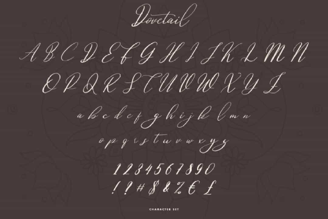 Dovetail Calligraphy Script Font Image 3