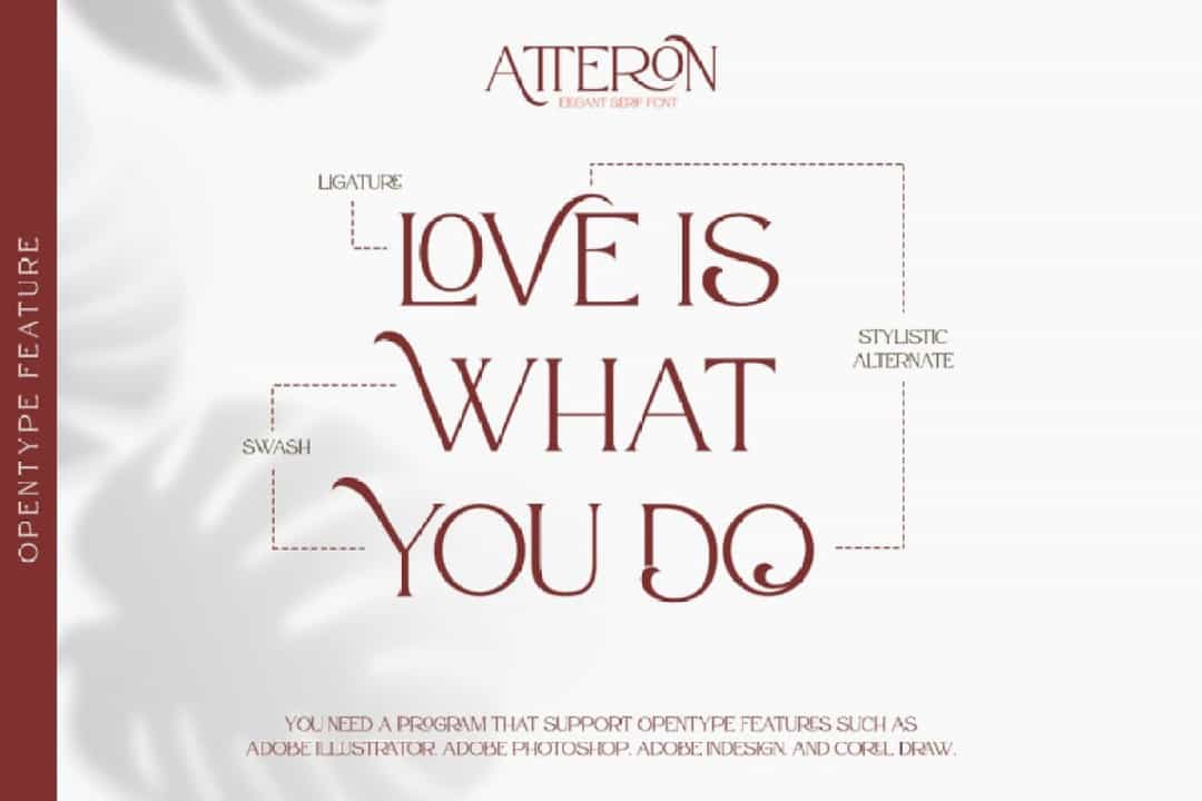 Atteron Elegant Serif Typeface Image 2