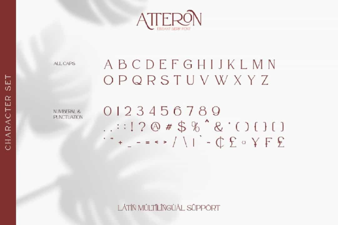 Atteron Elegant Serif Typeface Image 3