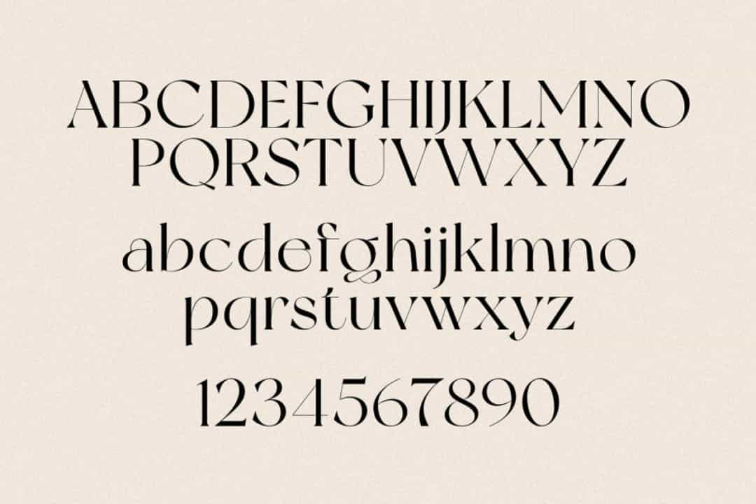 New York Modern Serif Typeface Image 3