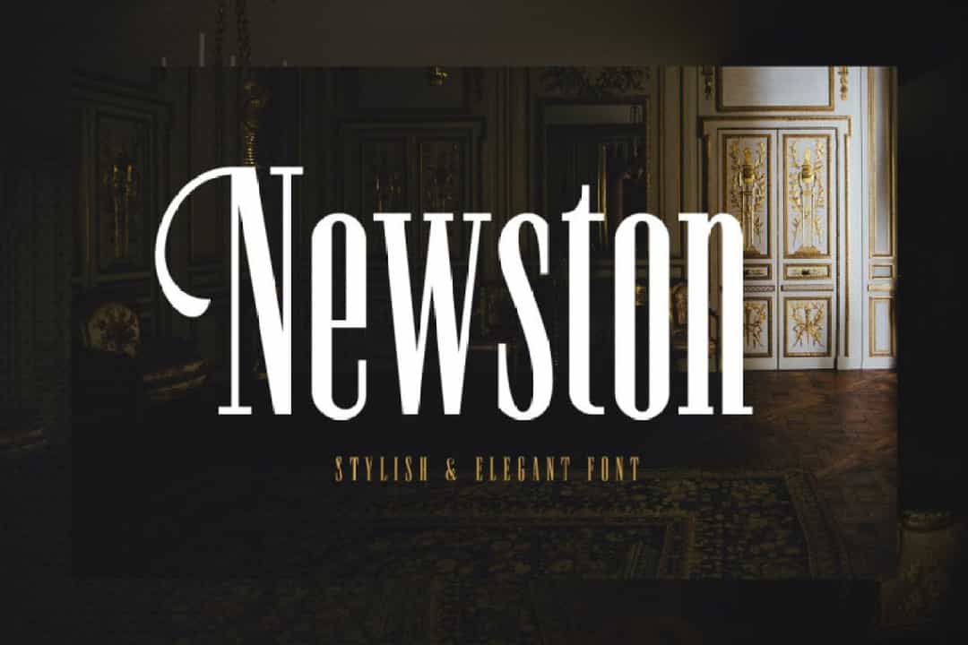 Newston Stylish Serif Font Image 1