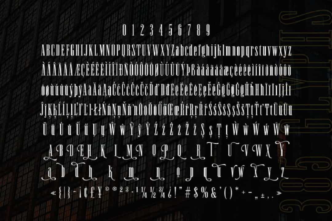 Newston Stylish Serif Font Image 3