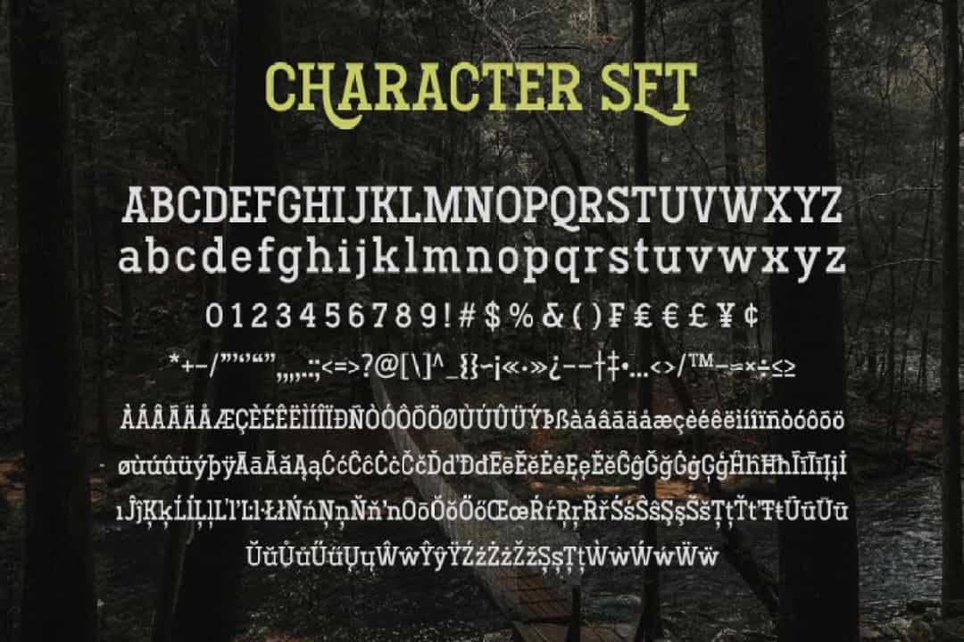 Hodgeson Calligraphy Slab Serif Font Image 3
