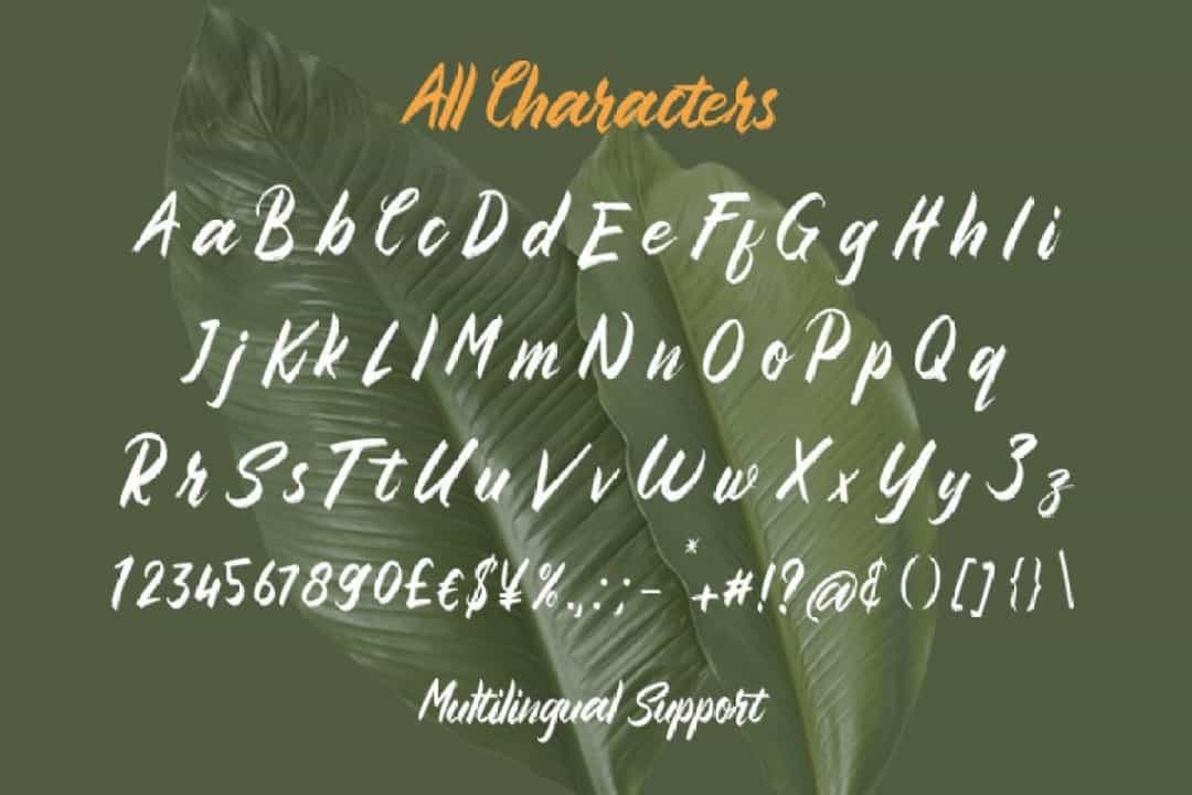 Sembilu Brush Script Typeface Image 3