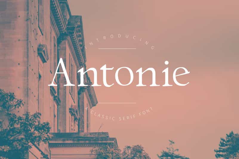 Antonie Classic Serif Font Image 1