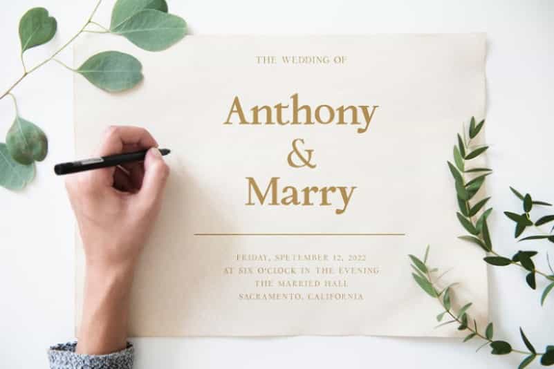 Antonie Classic Serif Font Image 2