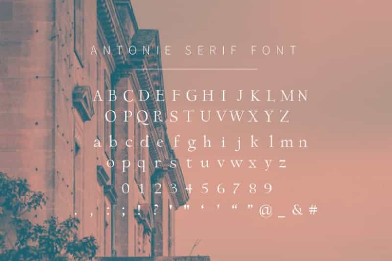 Antonie Classic Serif Font Image 3