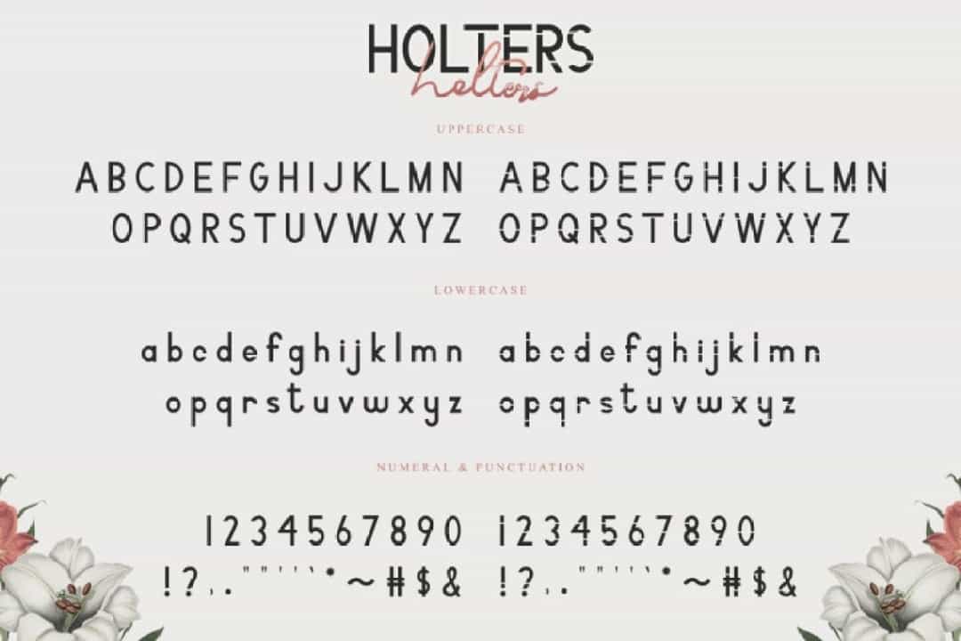 Holters Font Duo Image 2