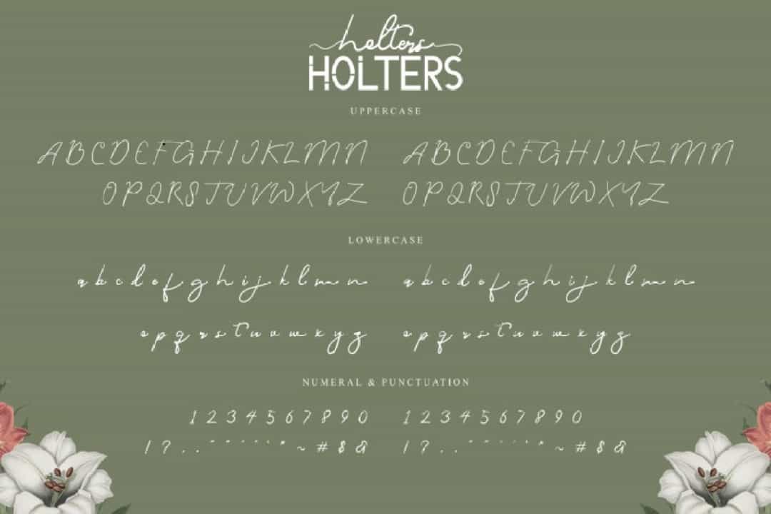 Holters Font Duo Image 3