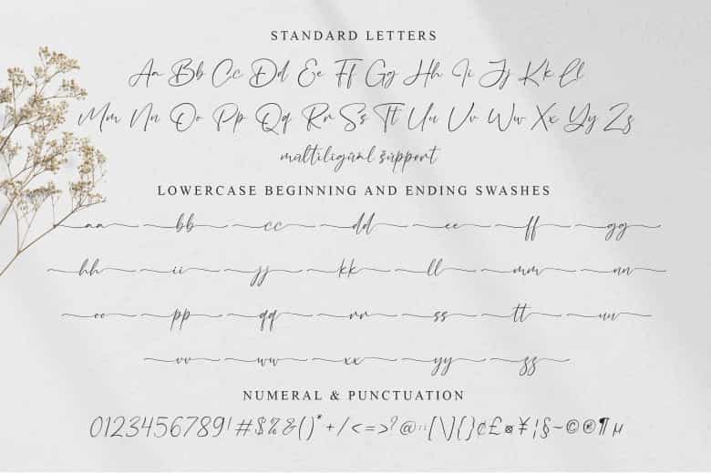Bacalisties Handwritten Script Font Image 3