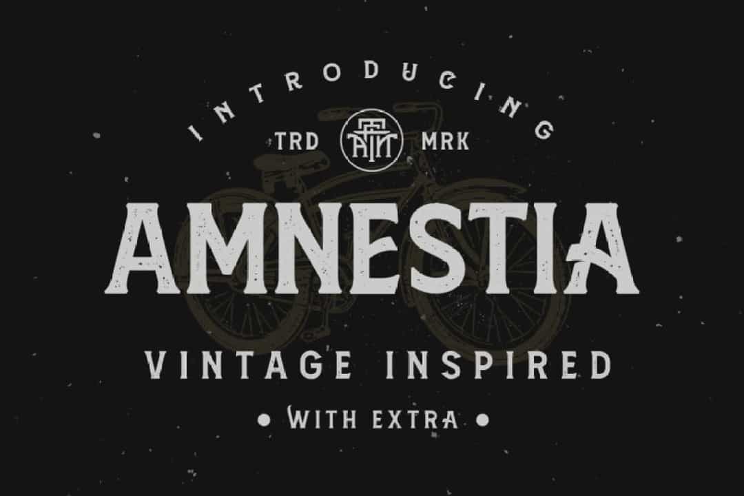 Amnestia Vintage Serif Typeface Image 1