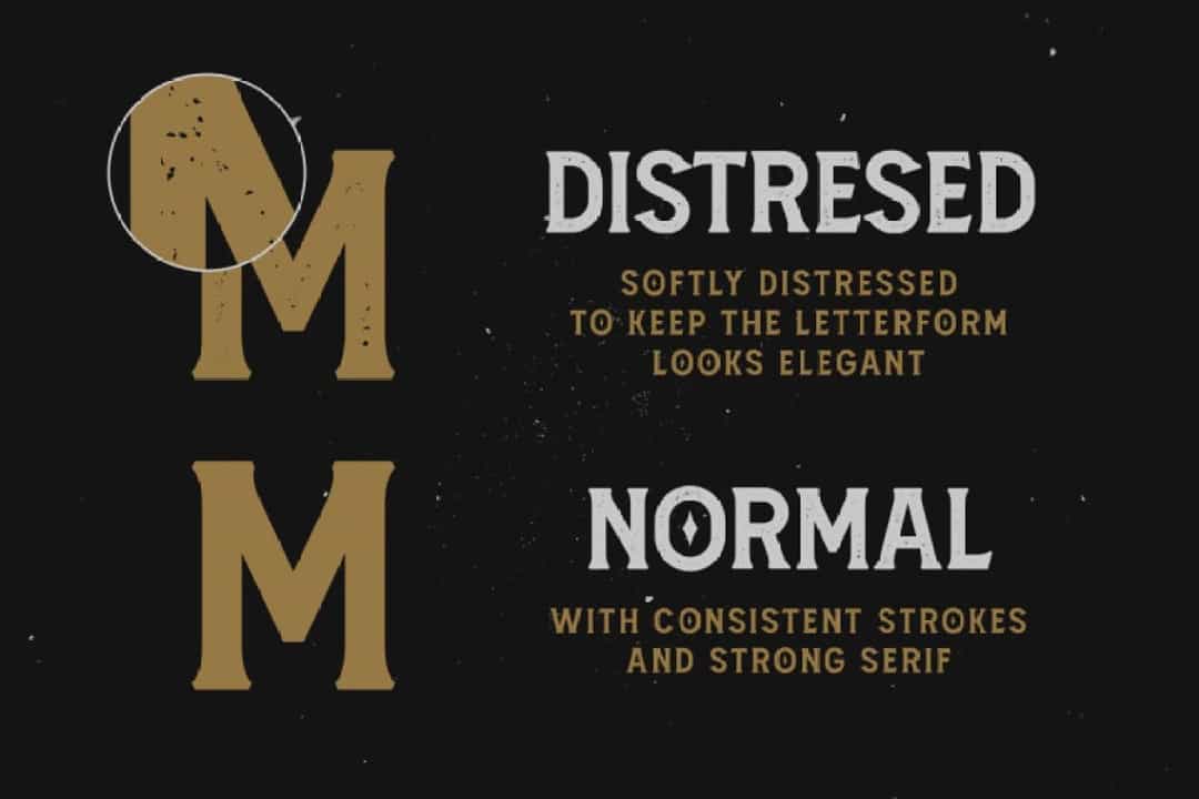 Amnestia Vintage Serif Typeface Image 2