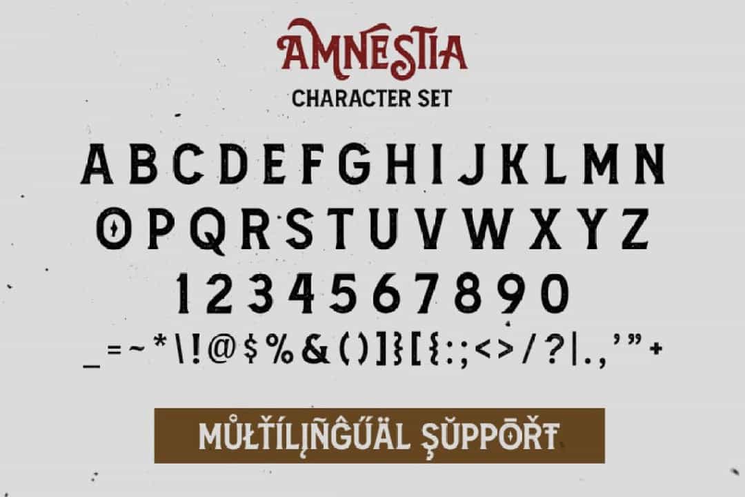 Amnestia Vintage Serif Typeface Image 3