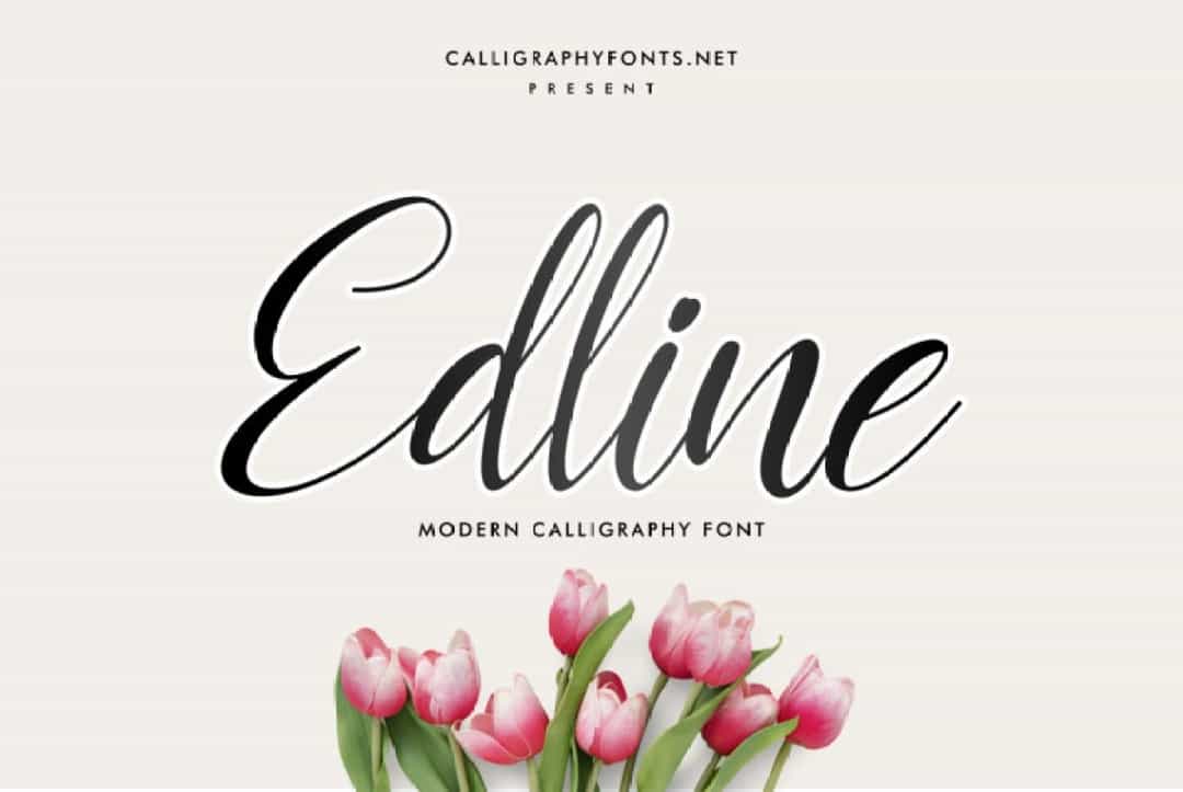 Edline Modern Calligraphy Script Font Image 1