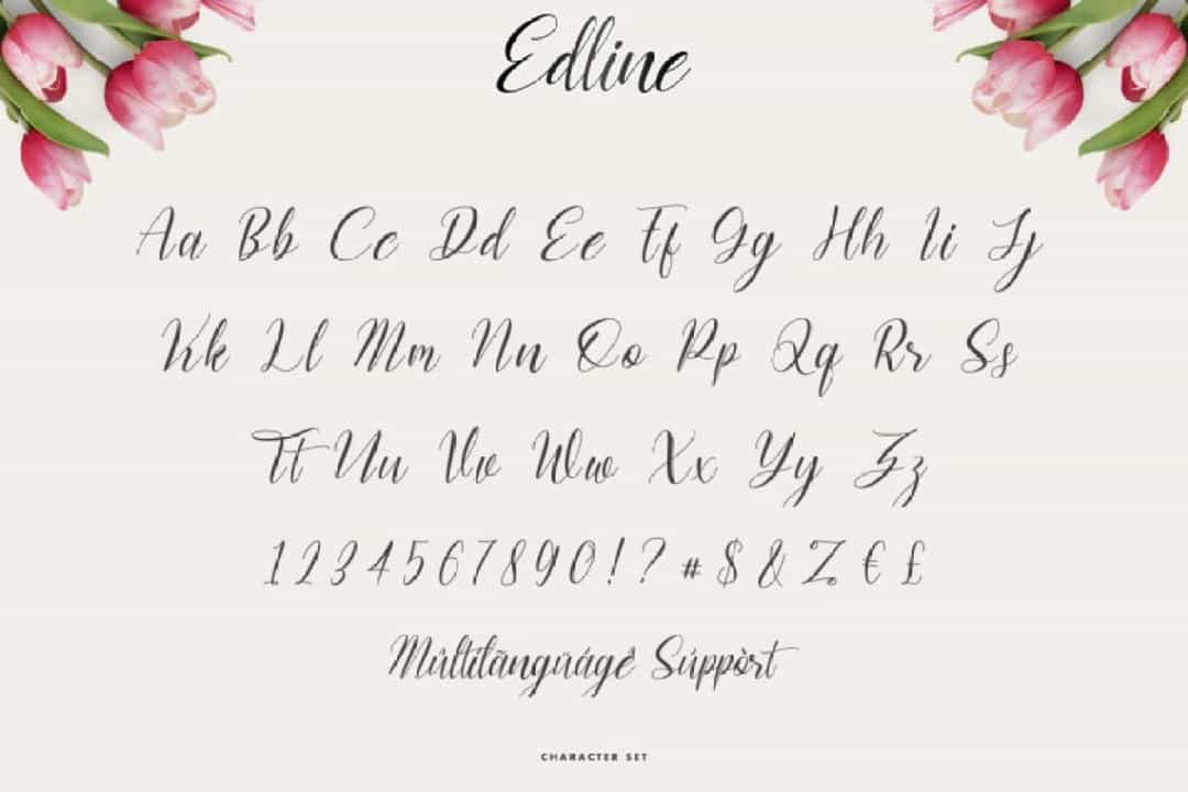 Edline Modern Calligraphy Script Font Image 3