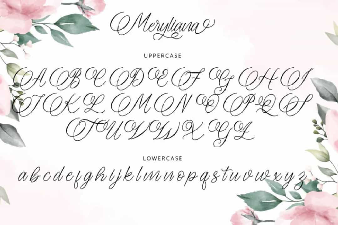 Meryliana Calligraphy Script Font Image 3