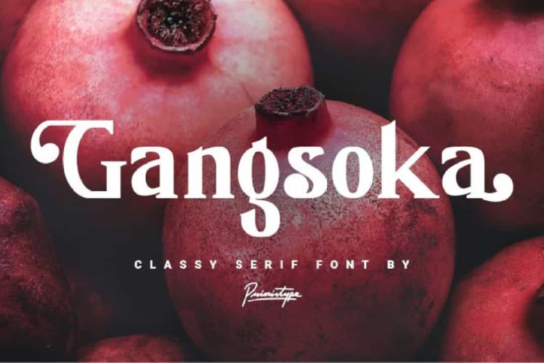 Gangsoka Classy Serif Font Image 1