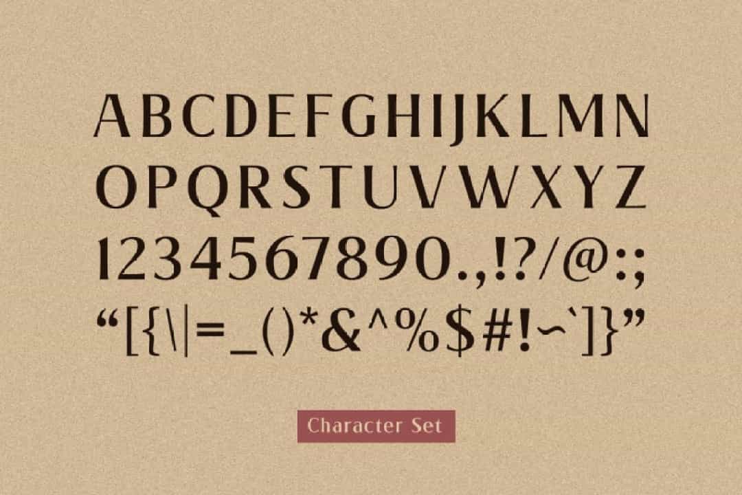 Valeria Elegant Serif Font Image 3