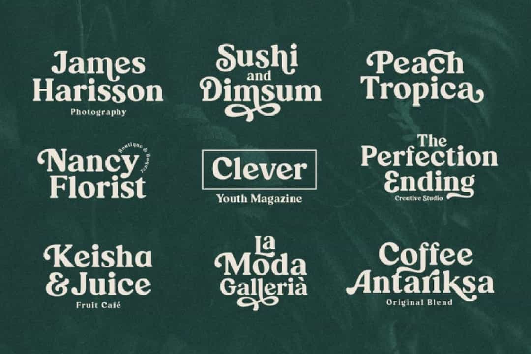 Ranille Classy Bold Serif Font Image 3