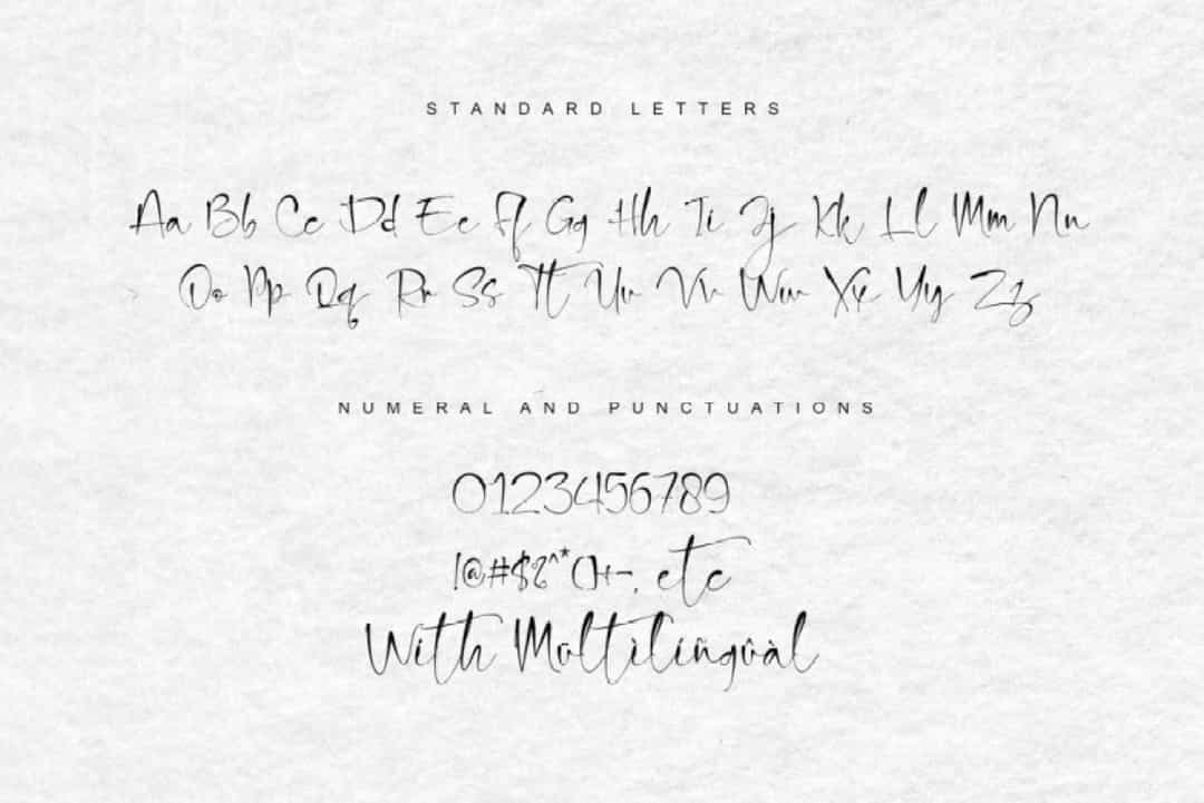 Snowland Natural Handwritten Script Font Image 3
