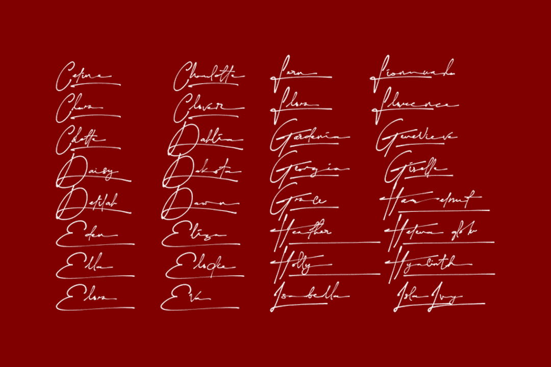 Yonitta Signature Script Font Image 3