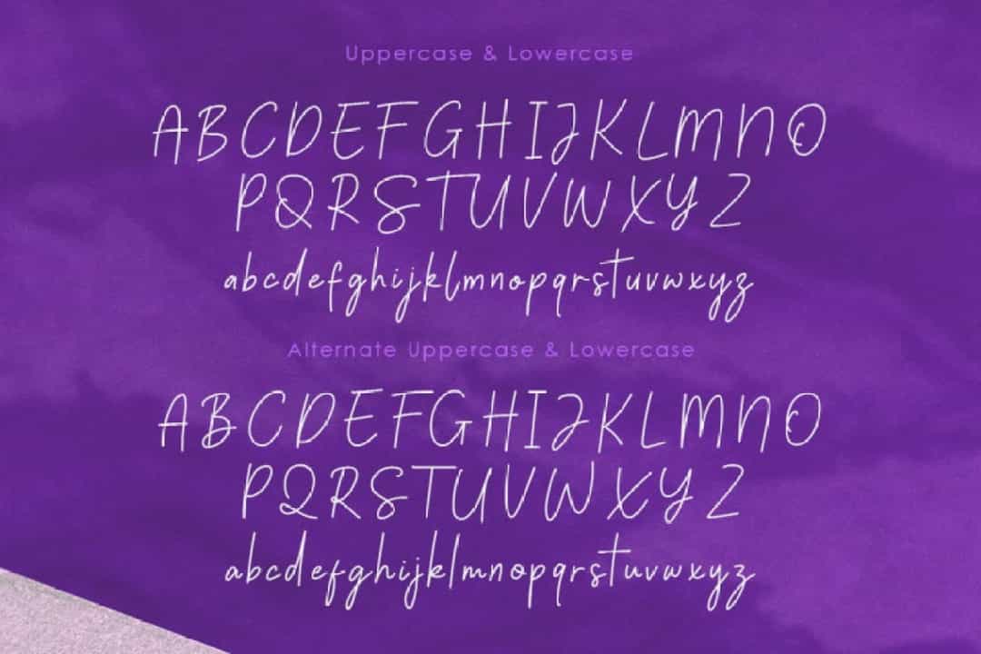Palmeyra Handwritten Script Font Image 3