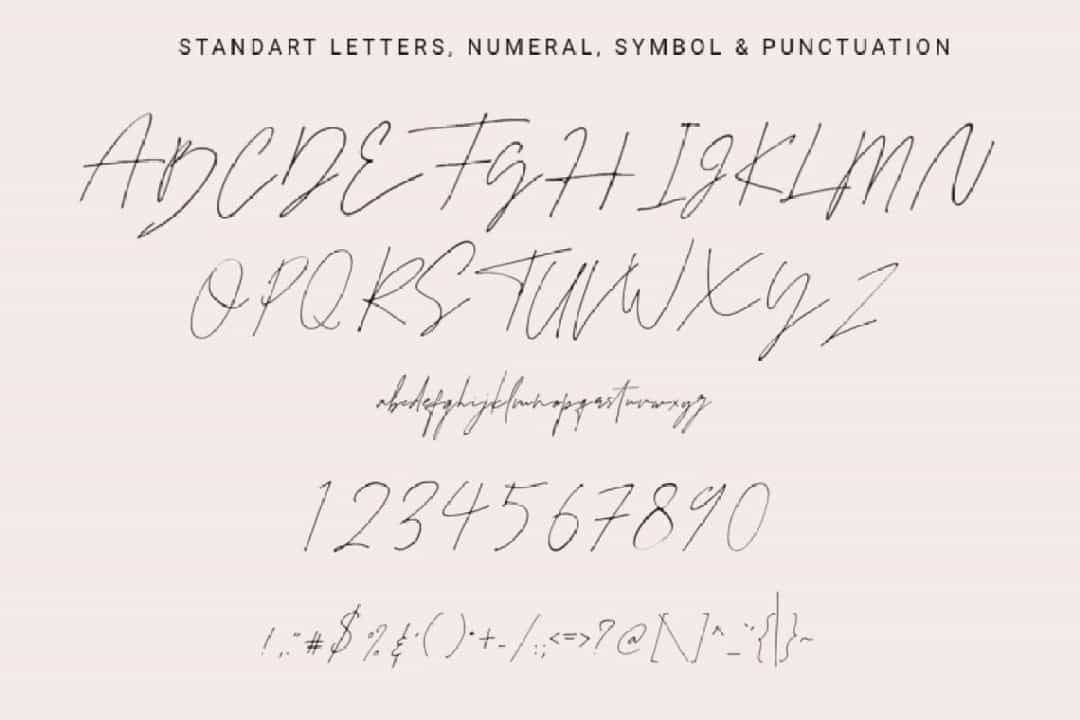 Juliette Handwritten Signature Font Image 3