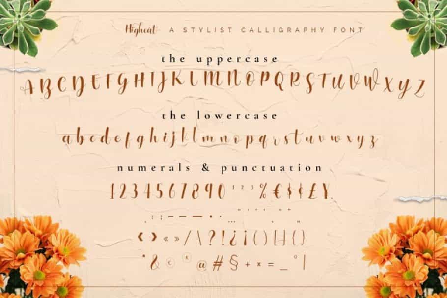 Higheat Stylish Calligraphy Font Image 3
