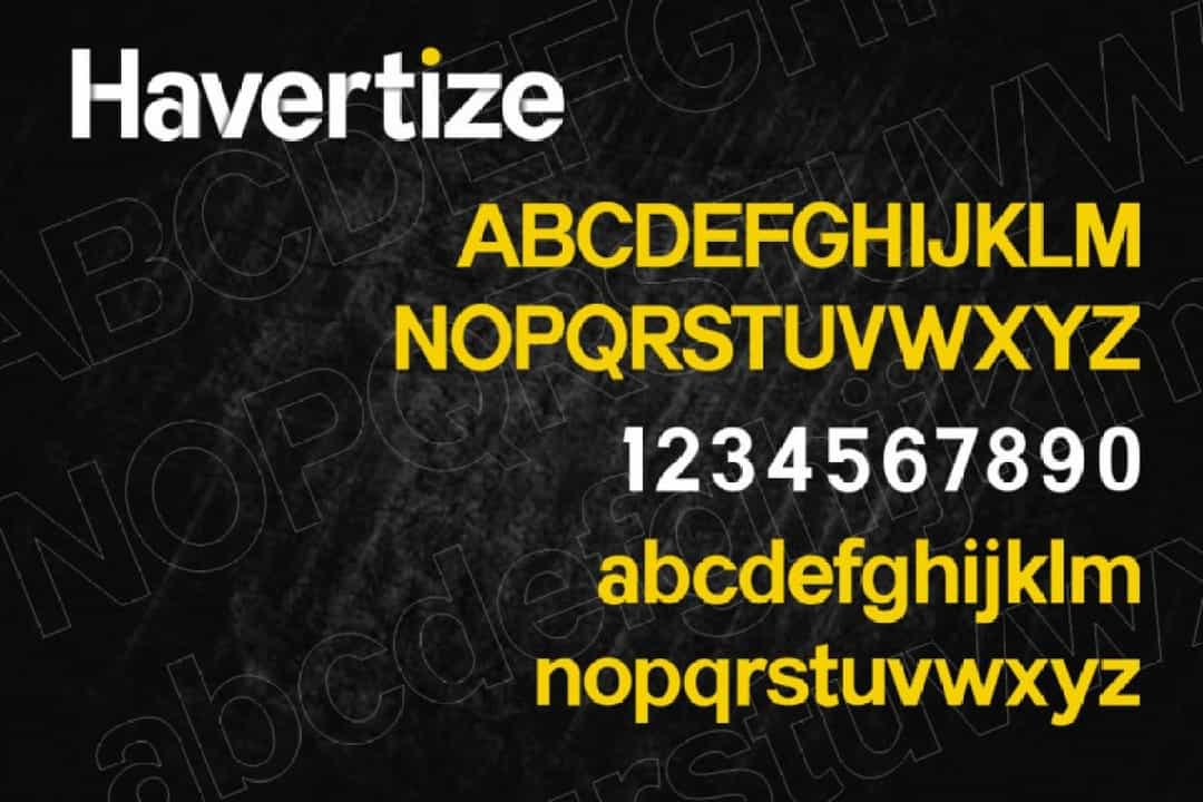 Havertize Bold Sans Serif Font Image 3