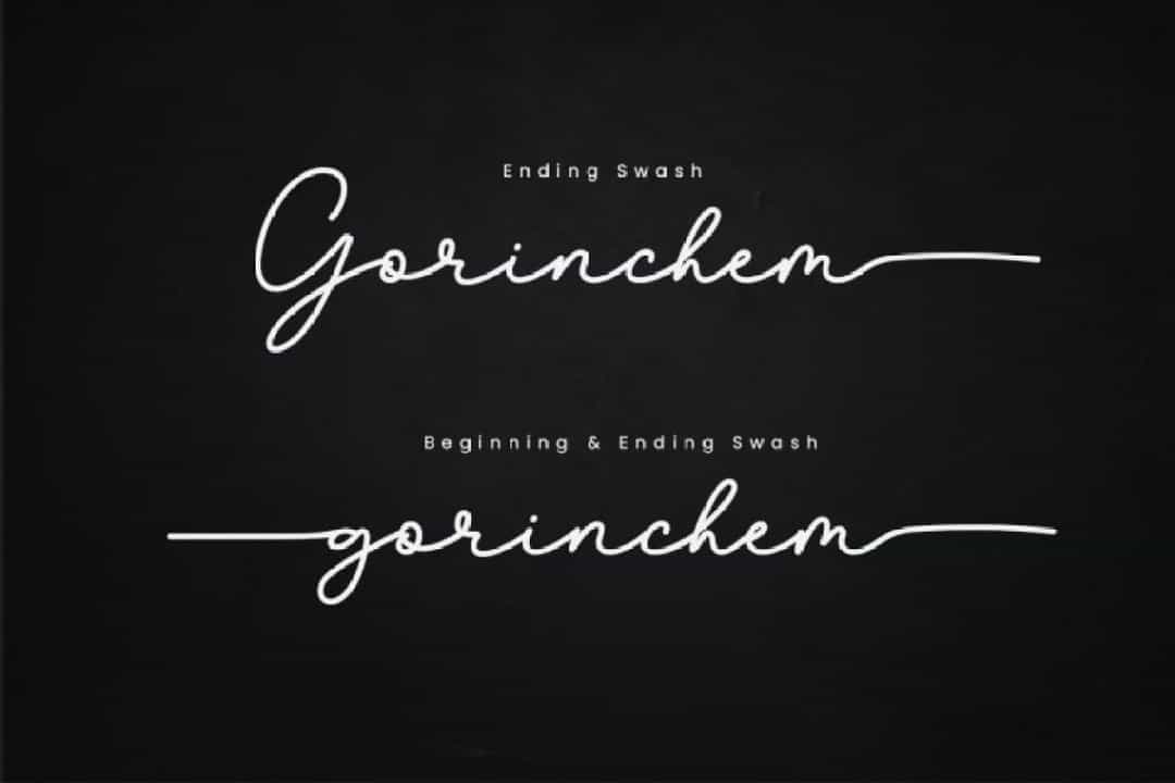 Gorinchem Handwritten Signature Font Image 2