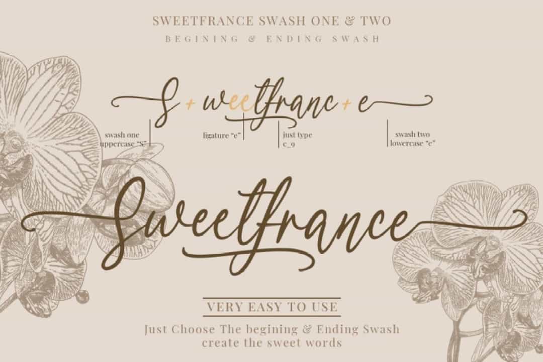 Sweetfrance Handwritten Script Font Image 2