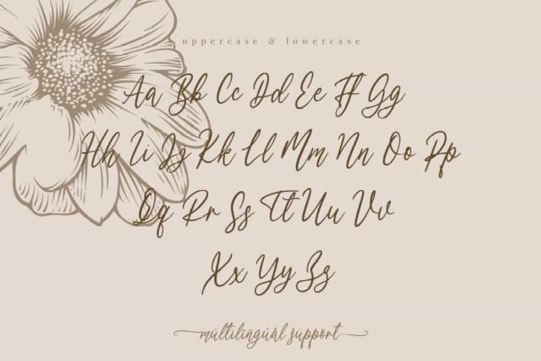 Sweetfrance Handwritten Script Font Image 3