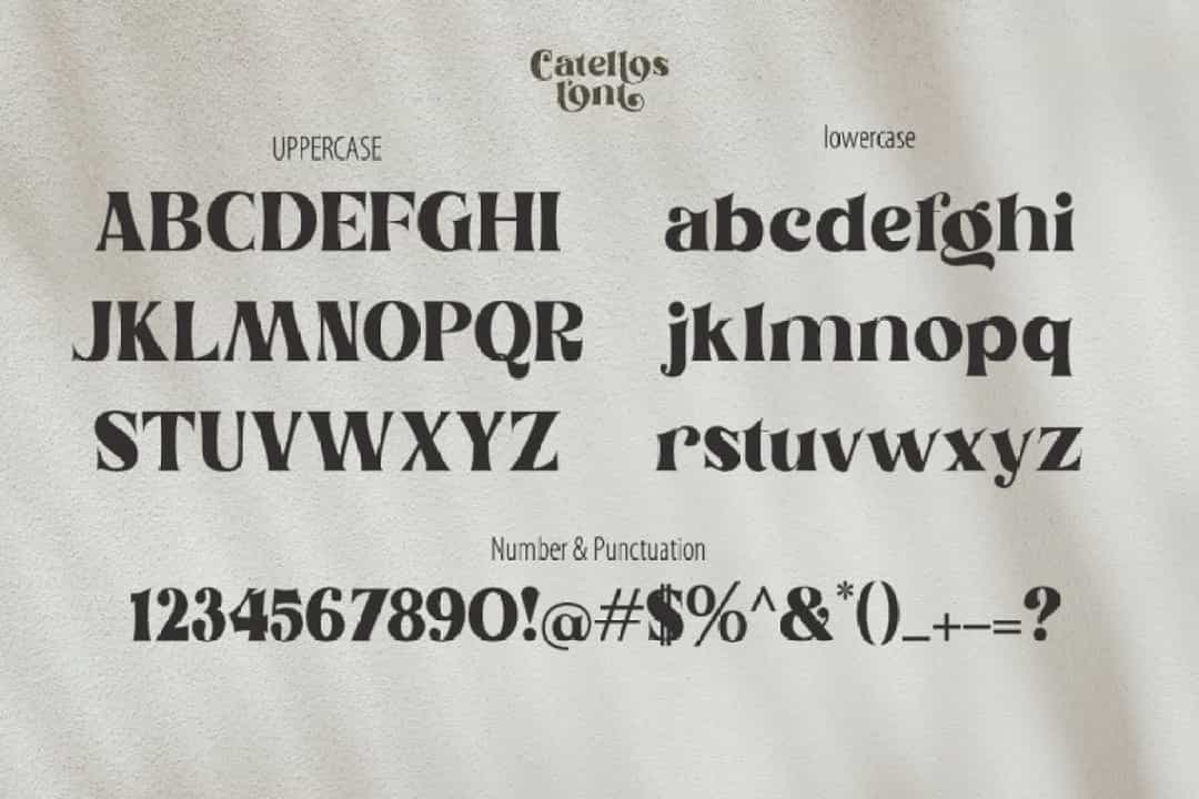 Catellos Powerful Serif Font Image 3