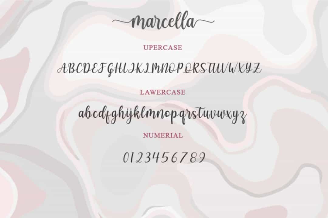 Marcella Calligraphy Script Font Image 3