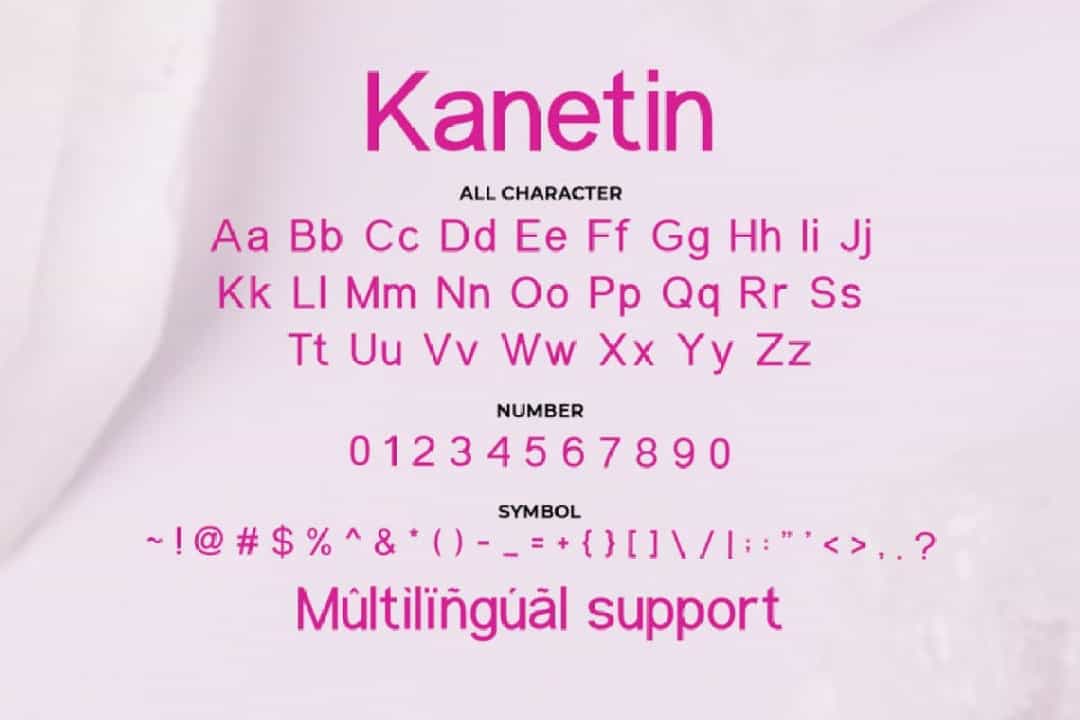 Kanetin Beautiful Sans Serif Font Image 3