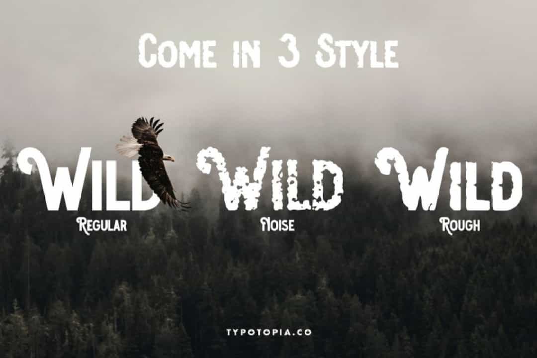 Osgiliath FontOsgiliath Multistyle Display Font Image 2