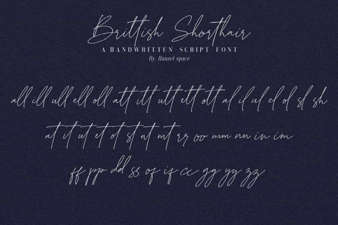 Brittish Sorthair Font Image 3
