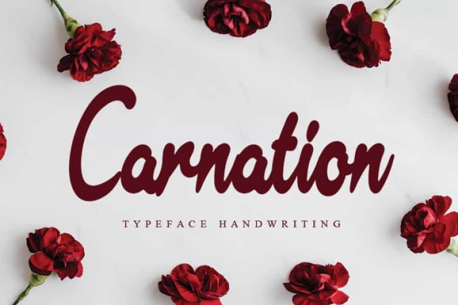 Carnation Typeface Image 1
