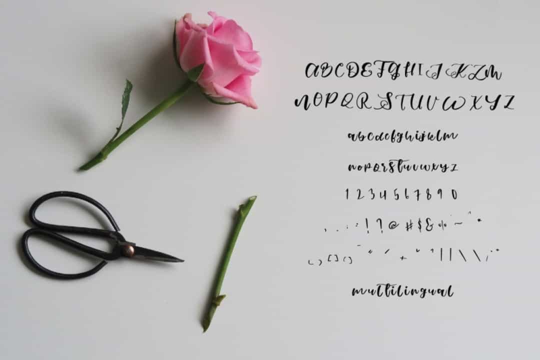 Ginan Font Image 3