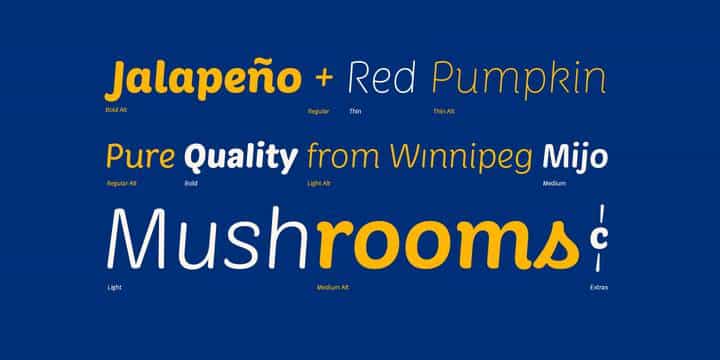 Market Font Family Image 3