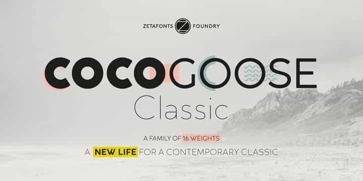 Cocogoose Classic Font Famly Image 1