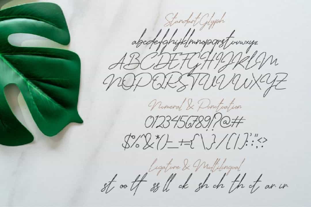 Jhenyta Font Image 6