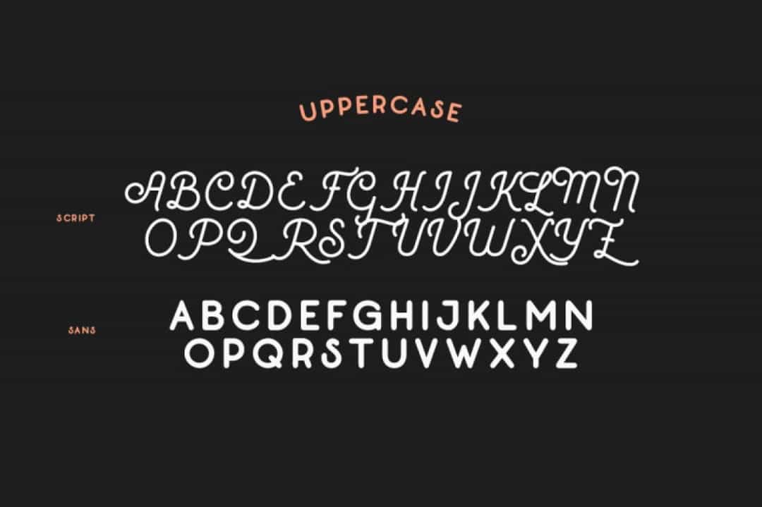 Belvedere Font Duo Image 3