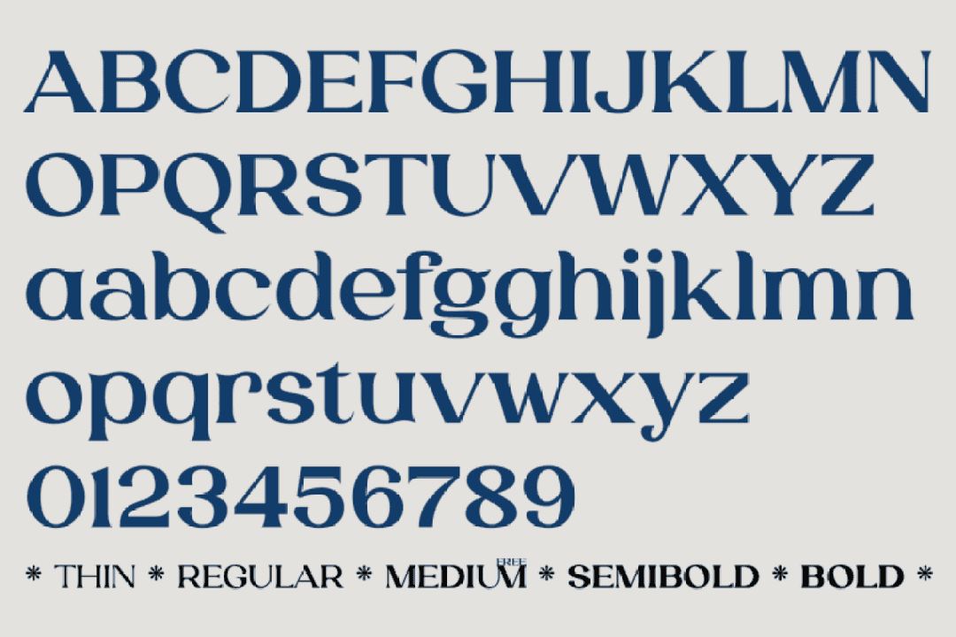 Laviossa Font Image 2