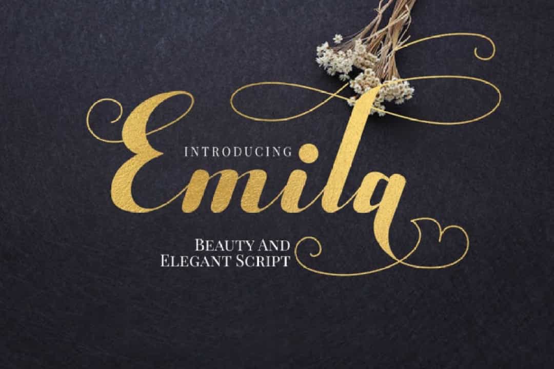 Emila Font Image 1