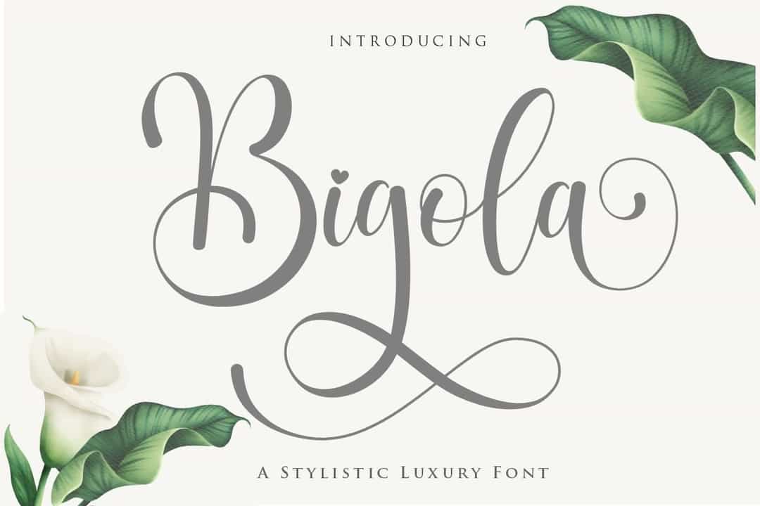 Bigola Font Image 1