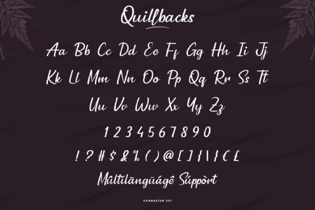 Quillbacks Font Image 3
