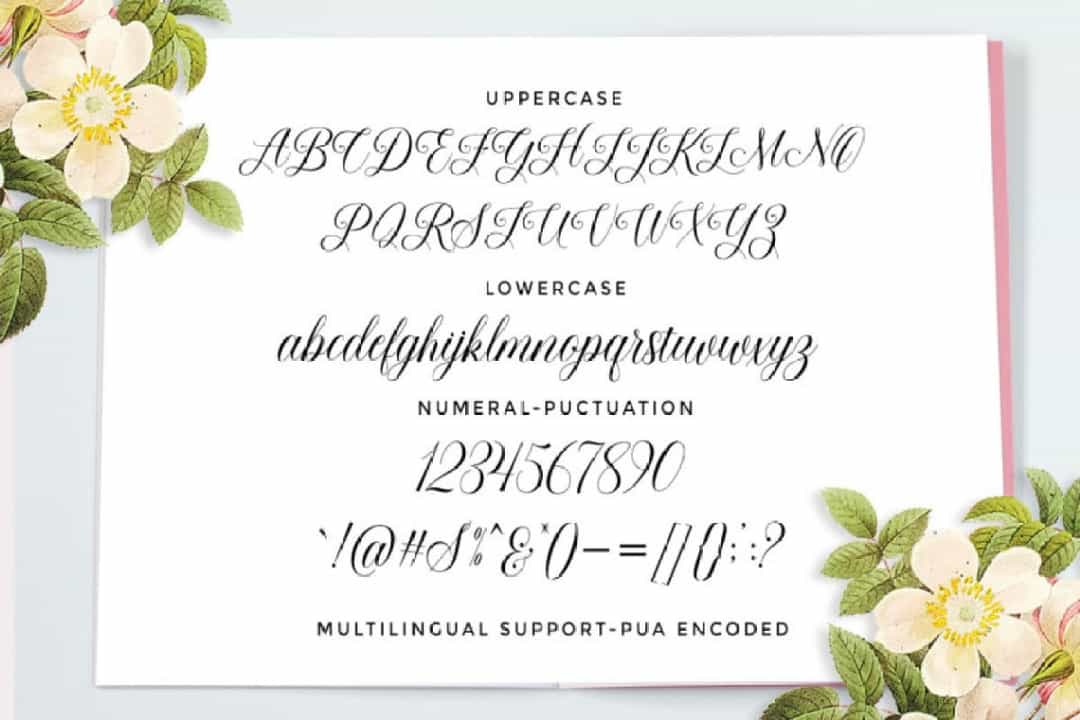 Beauty Queen Font Image 3