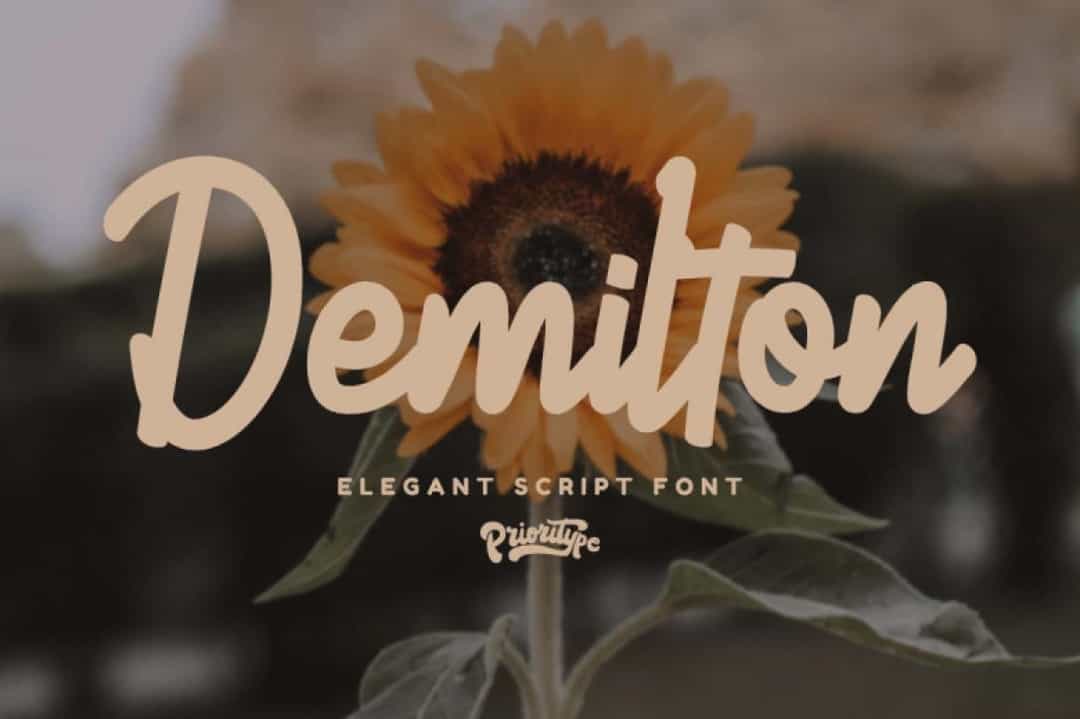 Demilton Font Image 1